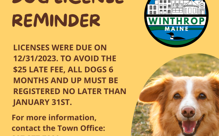 dog license reminder